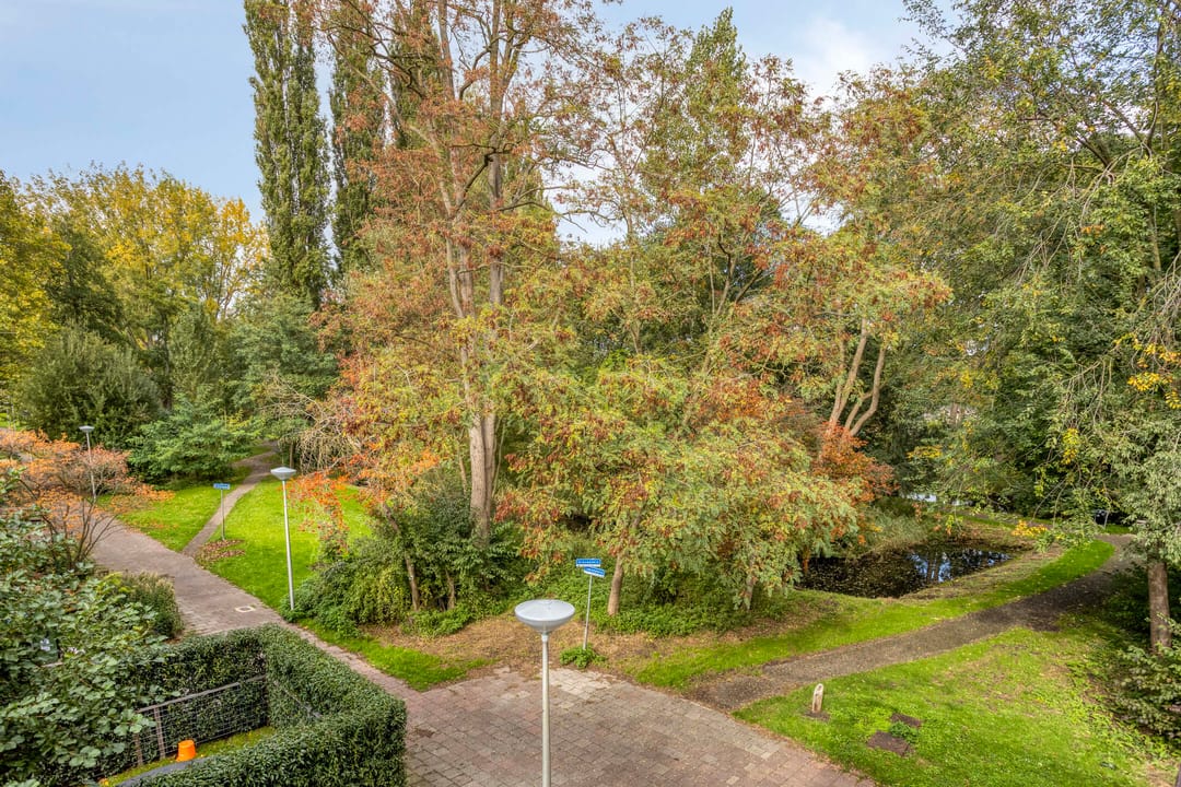 Foto 37 van Loevestein 22