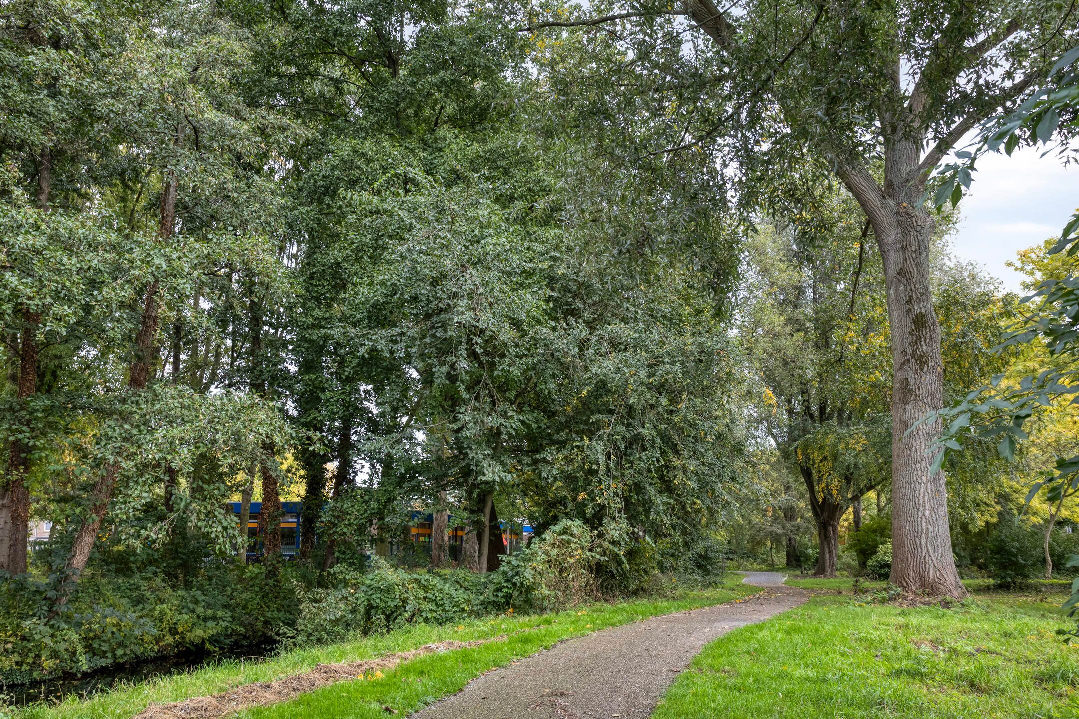 Foto 39 van Loevestein 22