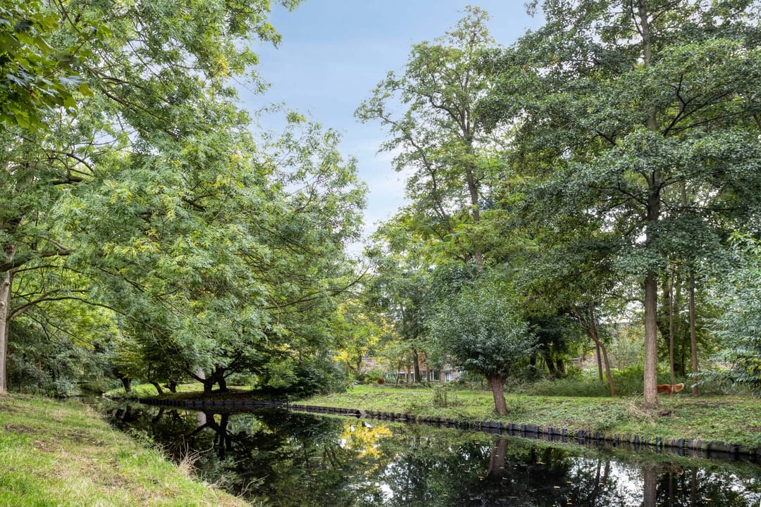 Foto 41 van Loevestein 22