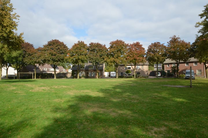 Photo 36 of Reusel 21