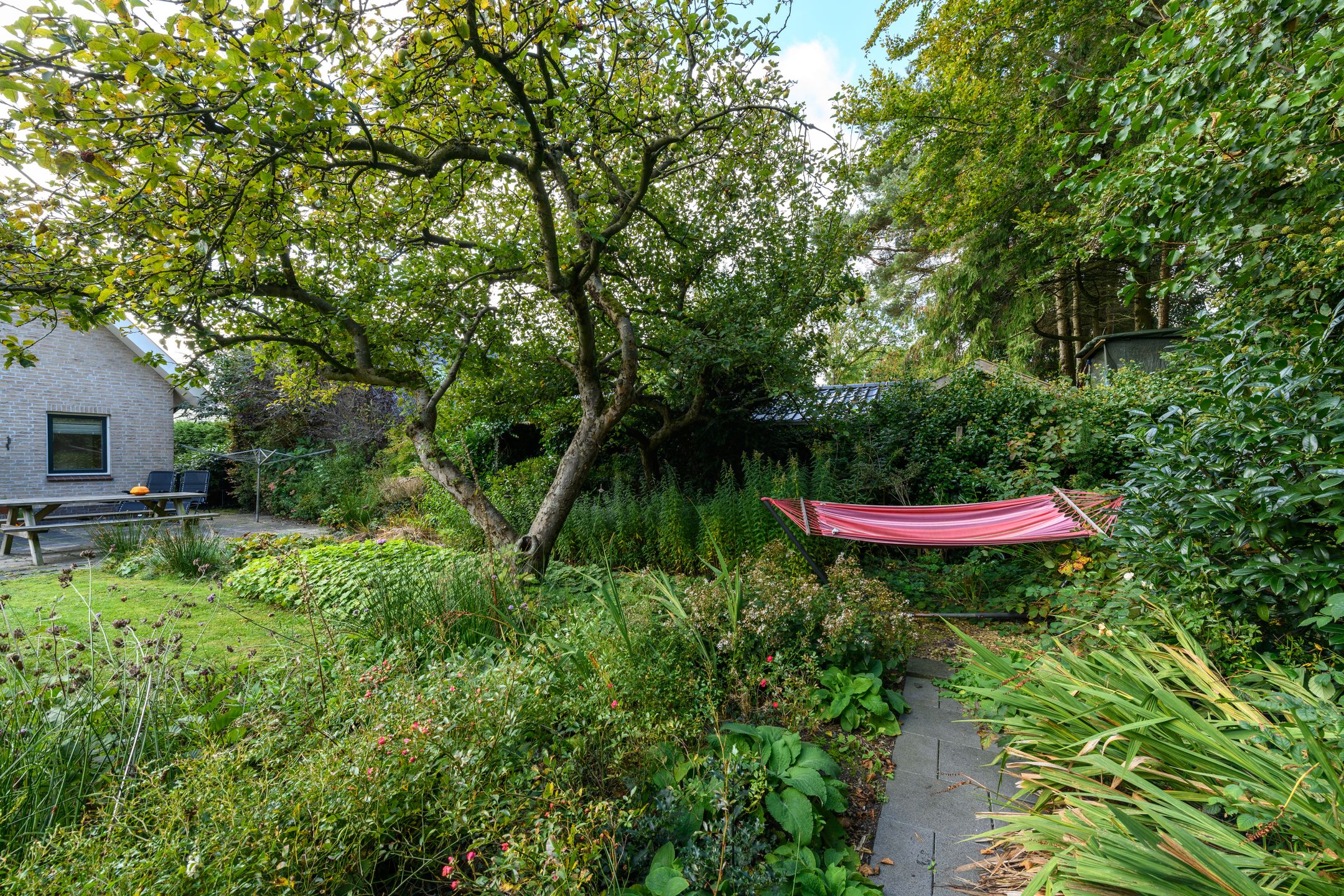 Foto 45 van De Gaai 10