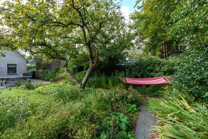 Foto 45 van De Gaai 10