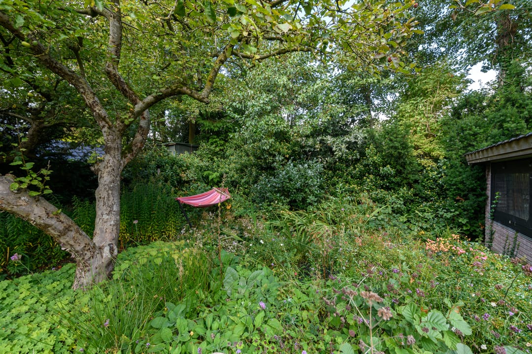 Foto 46 van De Gaai 10