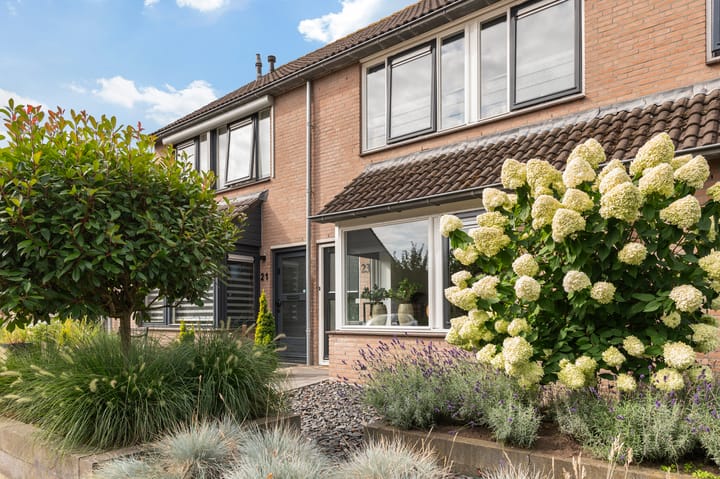 Foto 4 van Kwikstaart 23