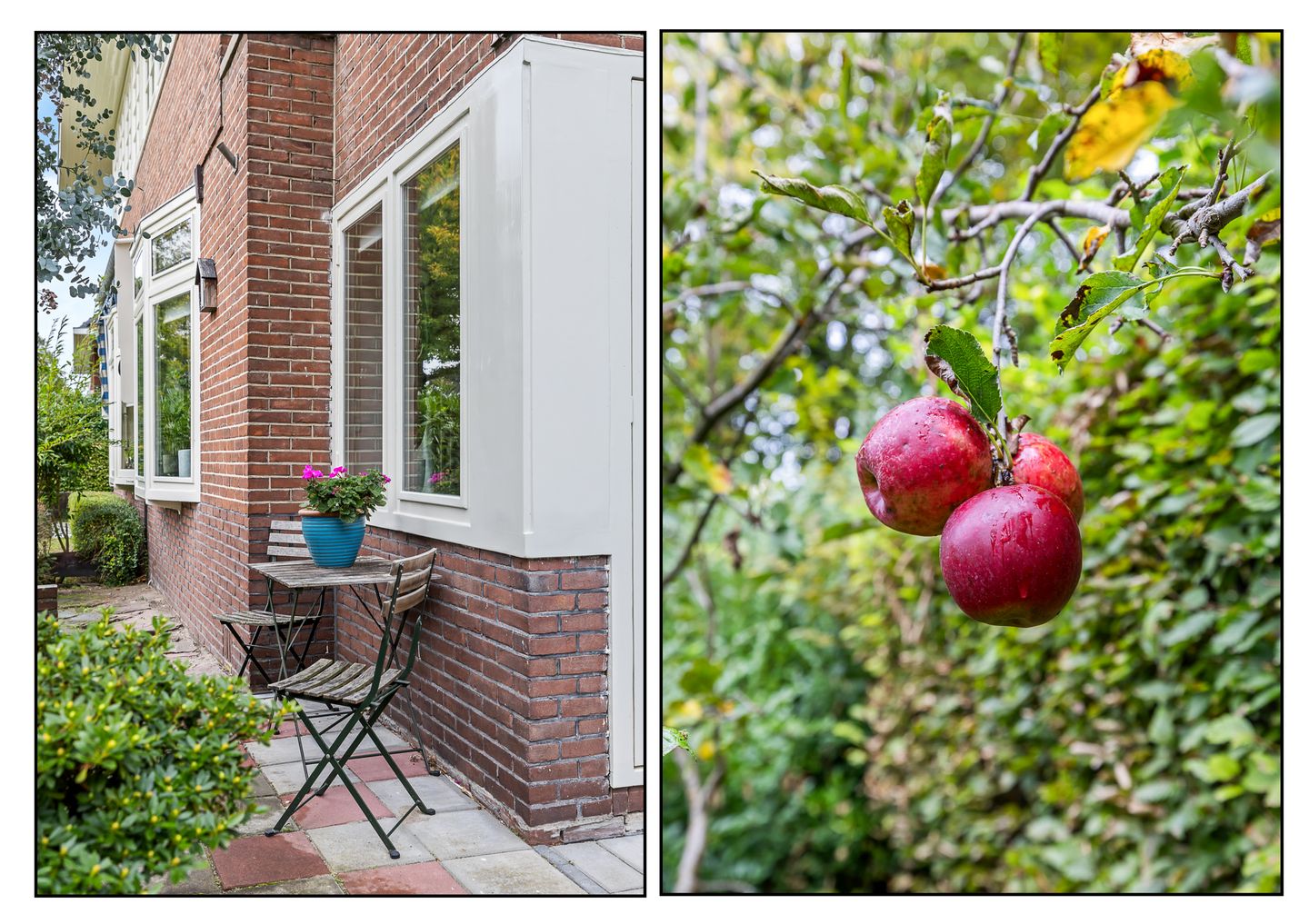 Foto 5 van Rembrandtlaan 11