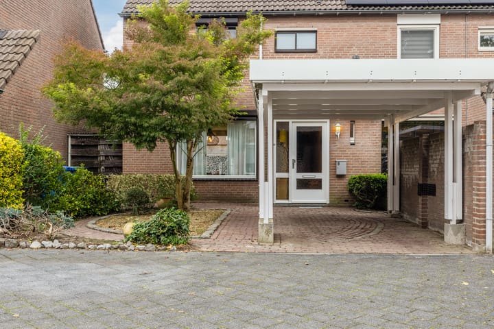 Foto 50 van Dassenburcht 8