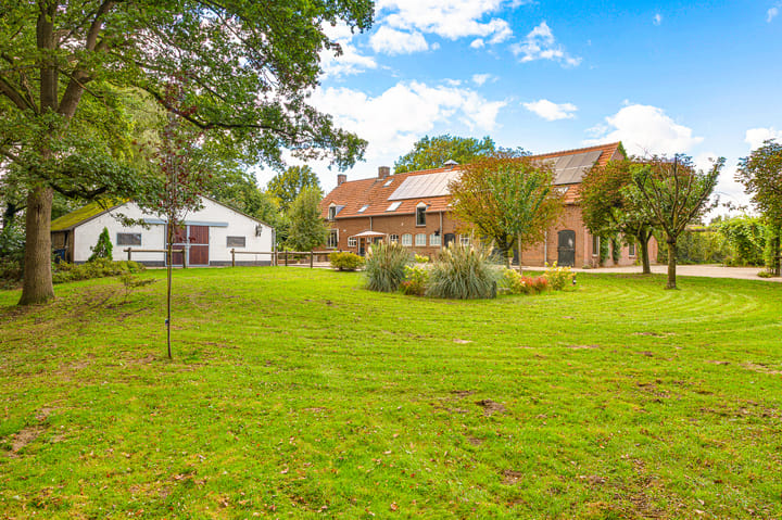 Gening 35 main image