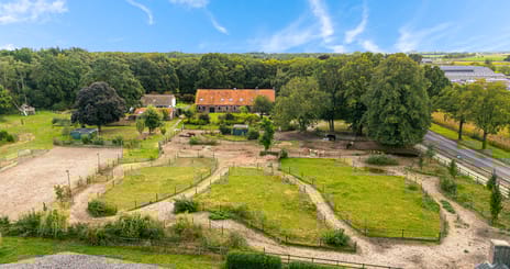 Gening 35 secondary image