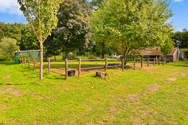 Foto 135 van Gening 35