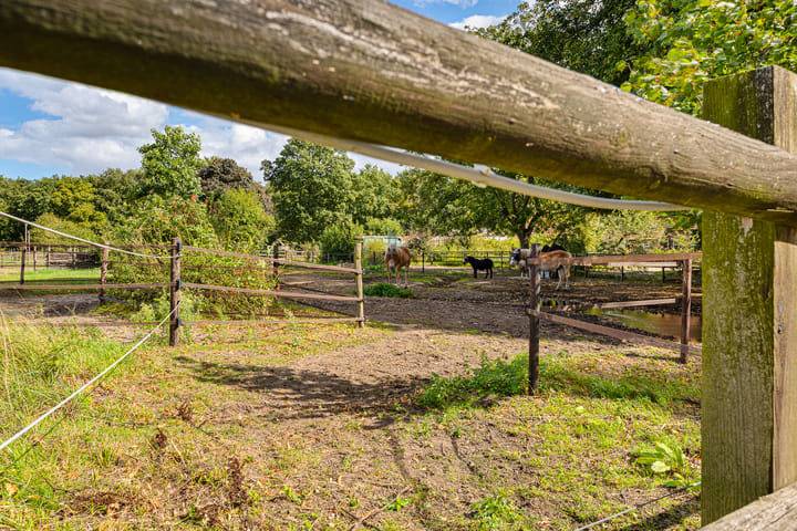 Foto 140 van Gening 35