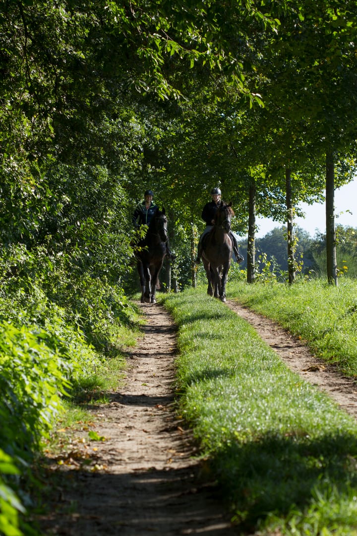 Foto 151 van Gening 35