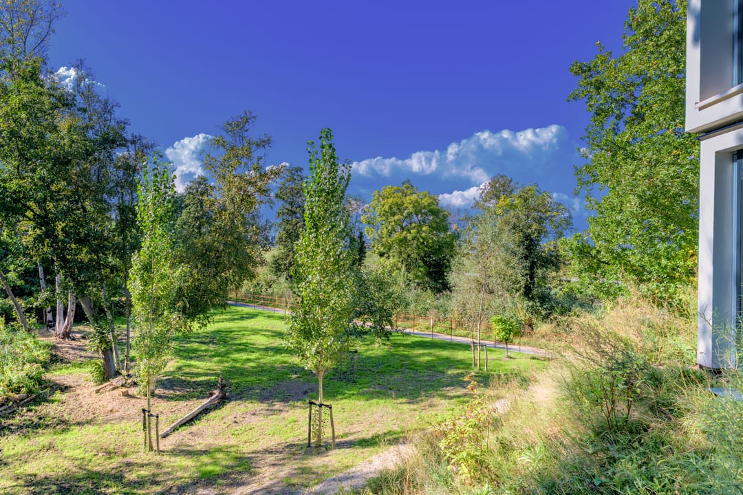 Foto 26 van Grote Wiel 11