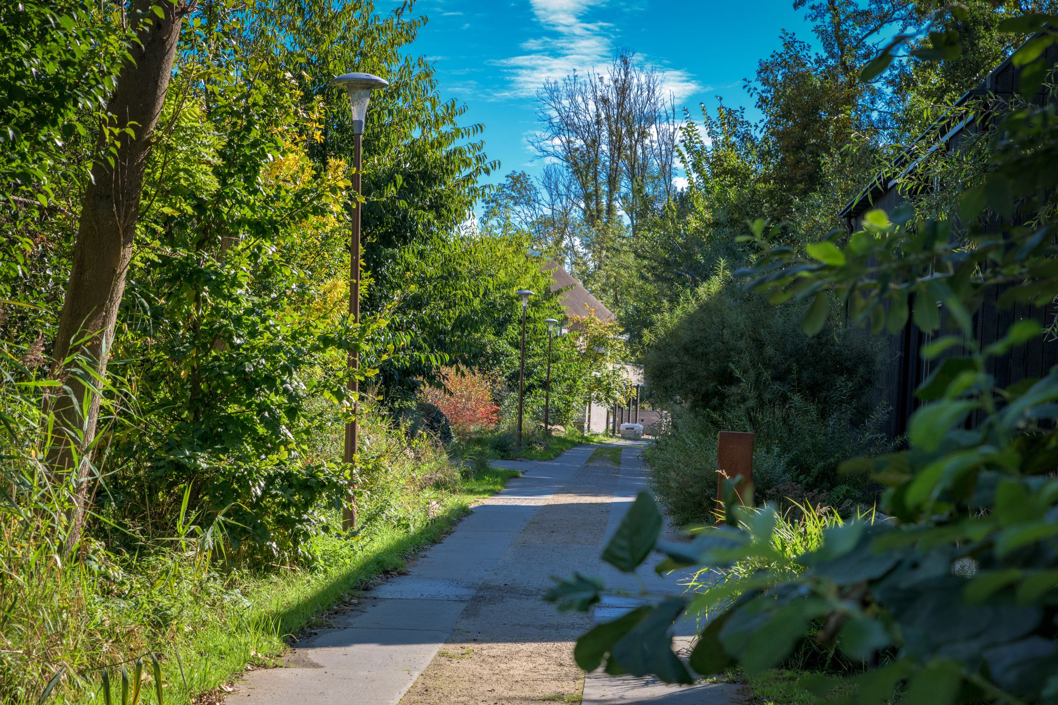 Foto 36 van Grote Wiel 11