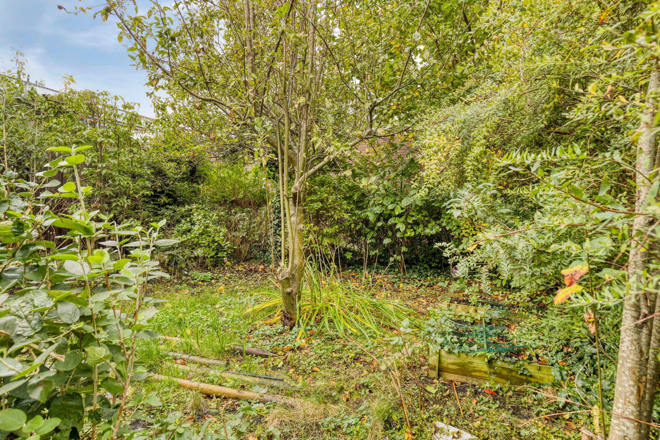 Photo 33 of Schrevelsgerecht 9