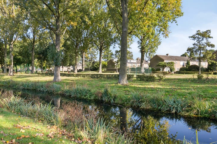 Foto 49 van Rossinistraat 2