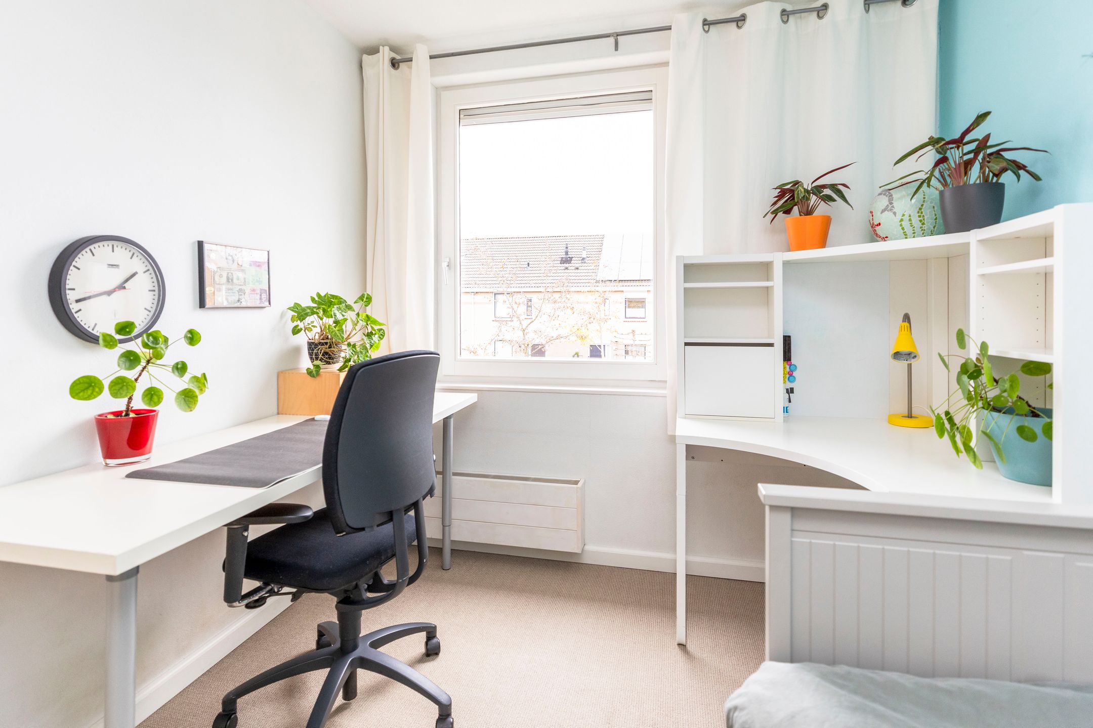 Foto 27 van Anemoonhof 14