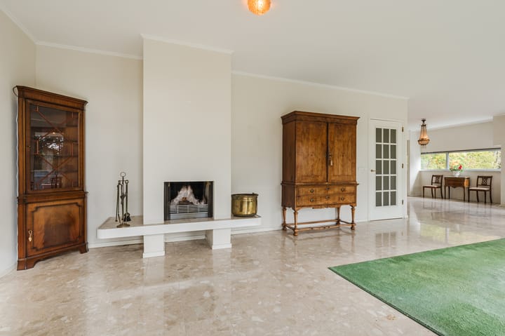 Foto 8 van Van Alkemadelaan 109