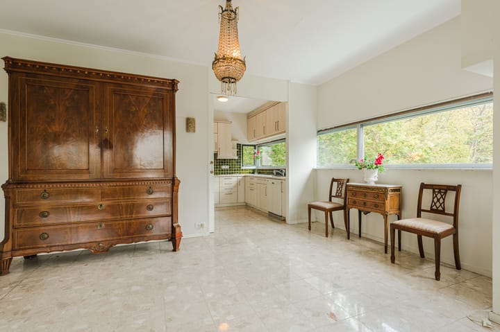 Foto 13 van Van Alkemadelaan 109