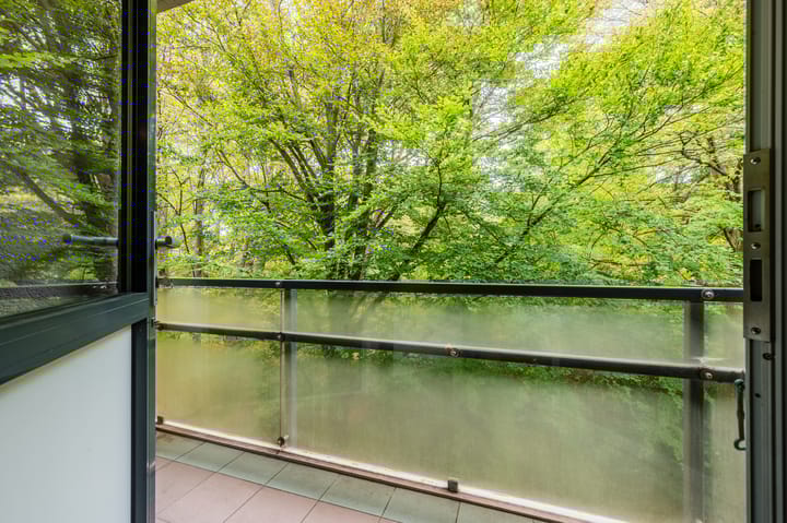 Foto 19 van Van Alkemadelaan 109