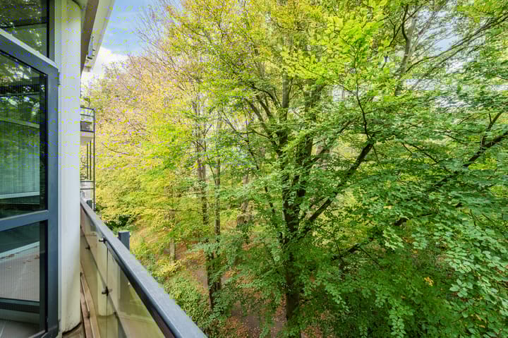 Foto 20 van Van Alkemadelaan 109