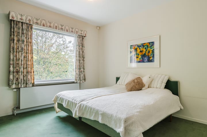 Foto 26 van Van Alkemadelaan 109