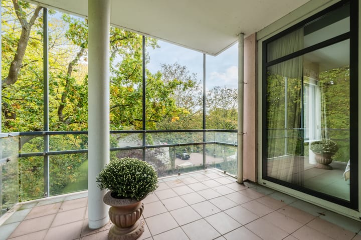 Foto 29 van Van Alkemadelaan 109