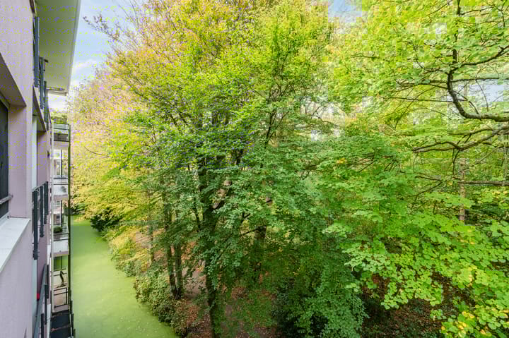 Foto 31 van Van Alkemadelaan 109