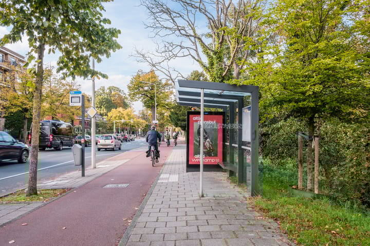 Foto 42 van Van Alkemadelaan 109