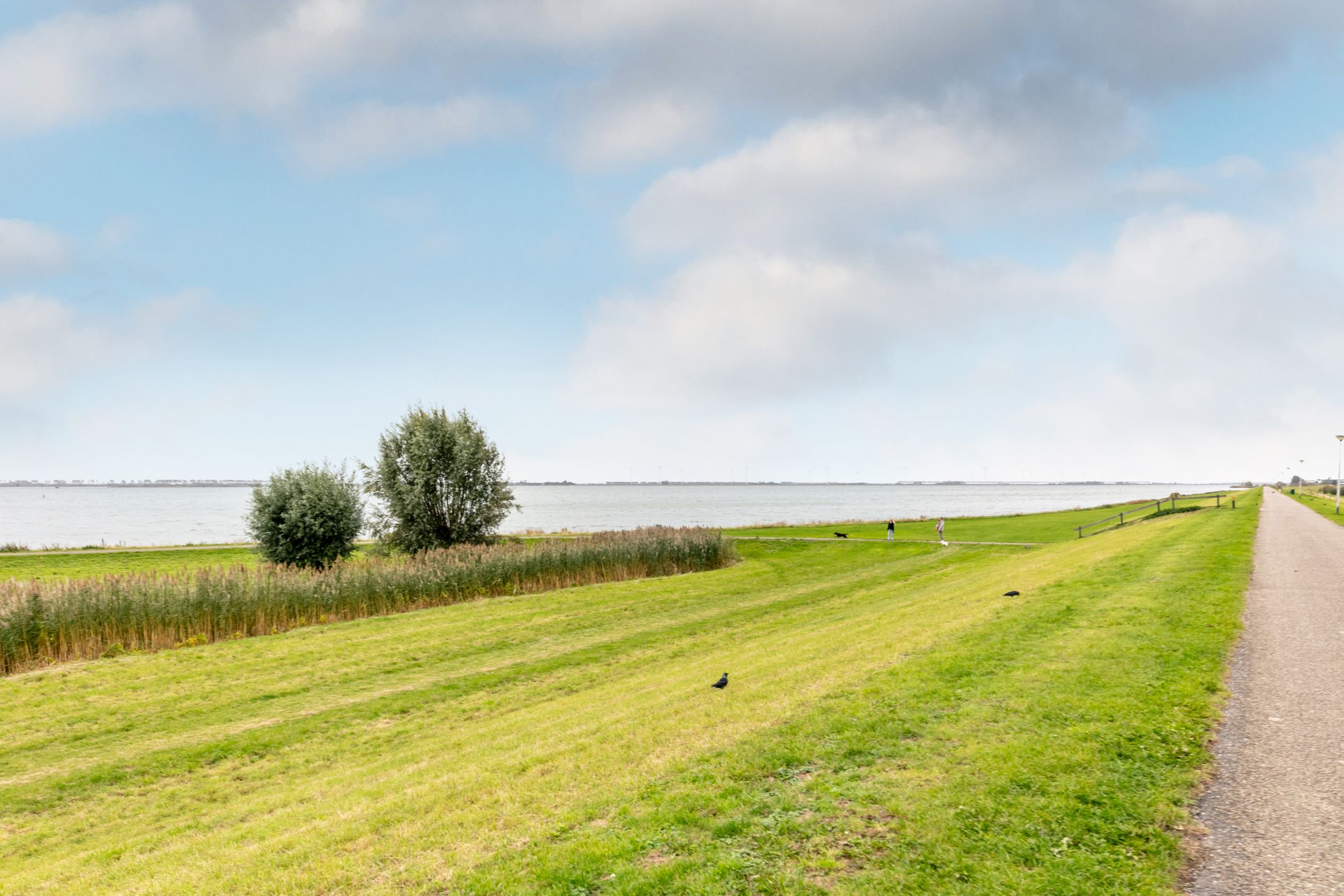 Foto 39 van Bezaansmast 16