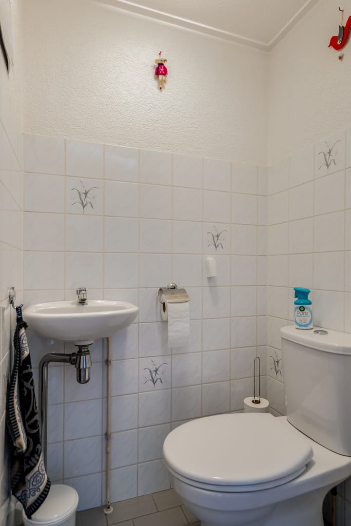 Foto 12 van Heerd 33