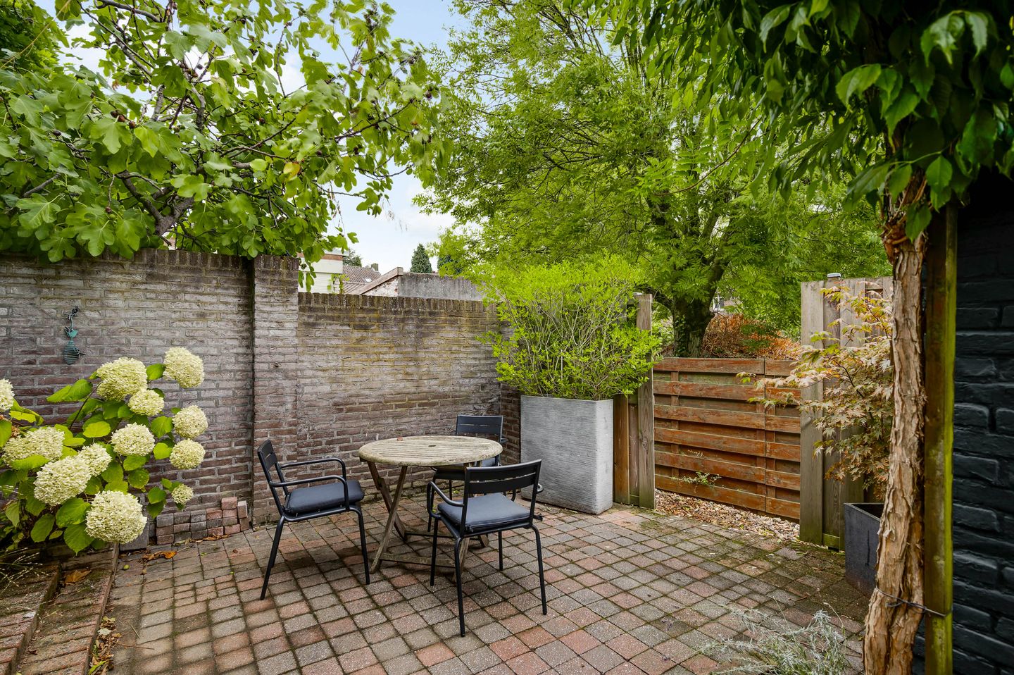 Foto 19 van Waldeck Pyrmontstraat 9