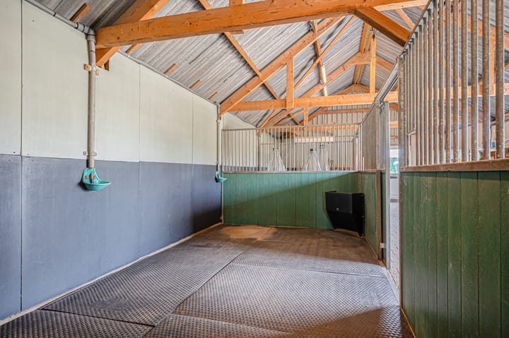 Photo 51 of Tranendallaan 7