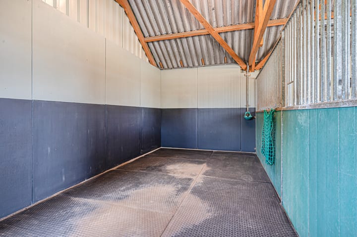 Photo 52 of Tranendallaan 7