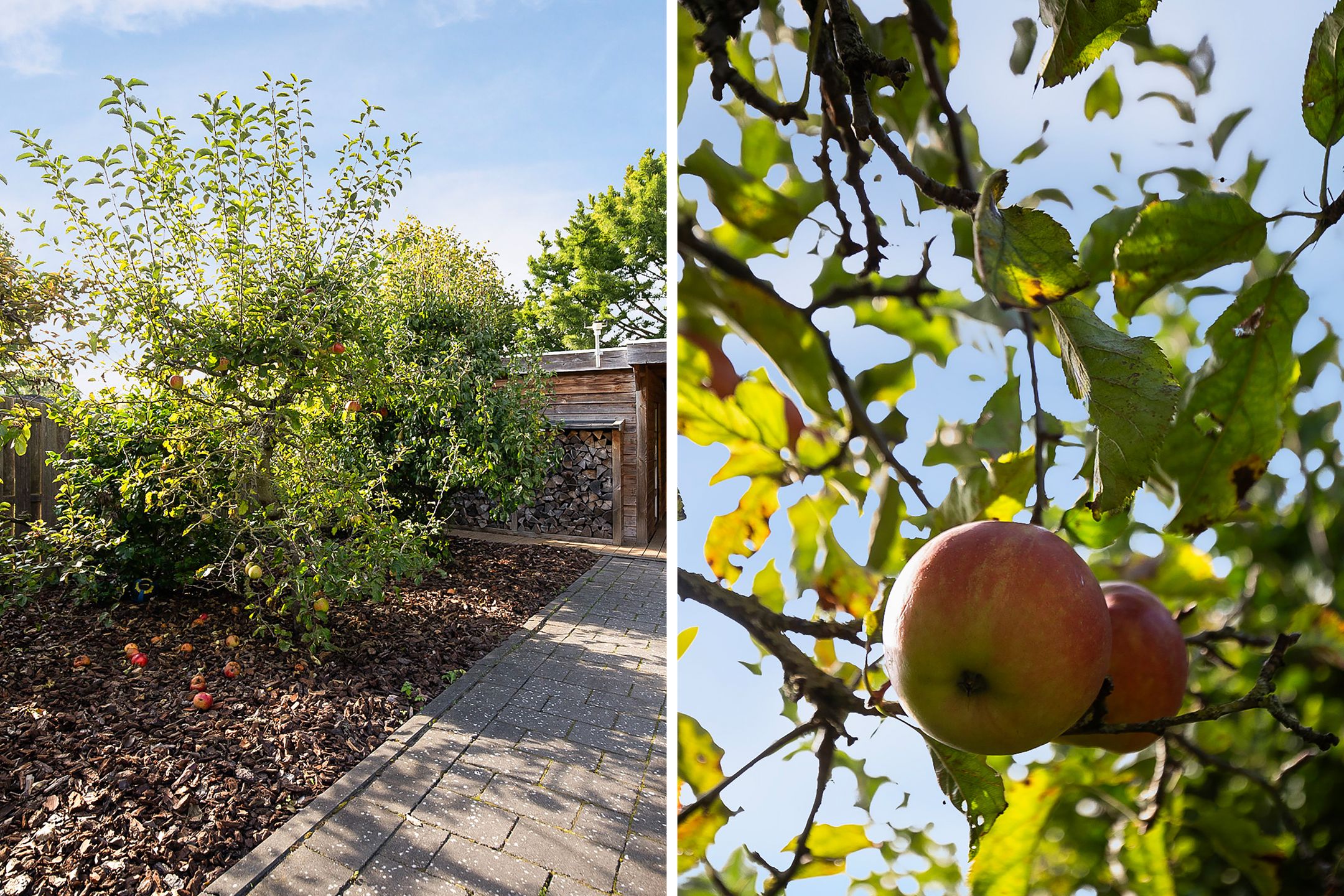 Foto 63 van Hoofdweg 1129