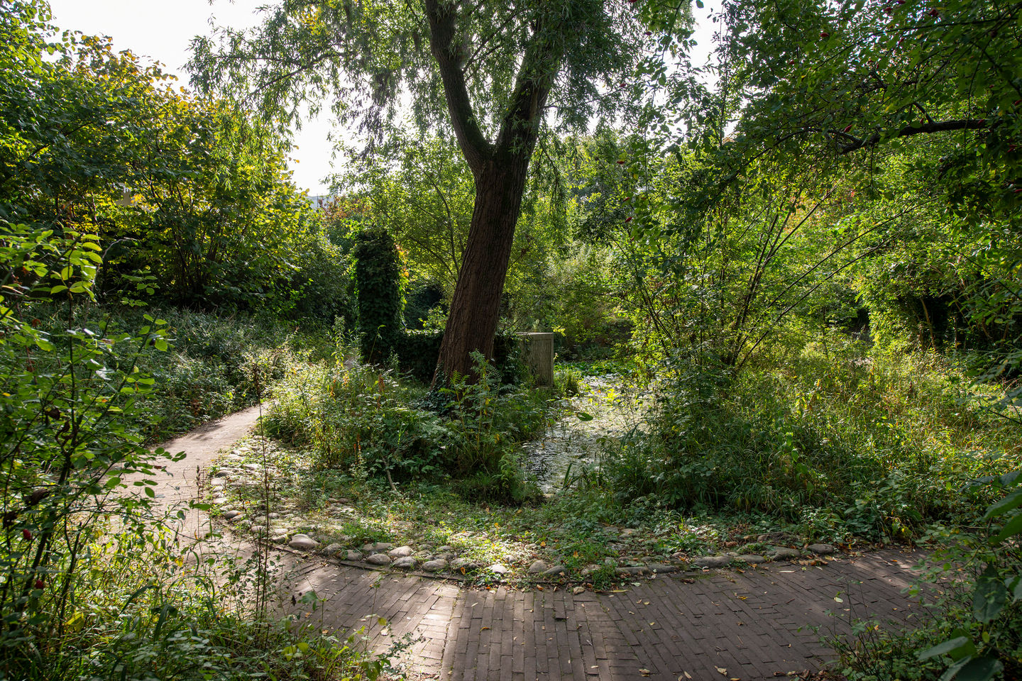 Foto 64 van Parkstraat 83