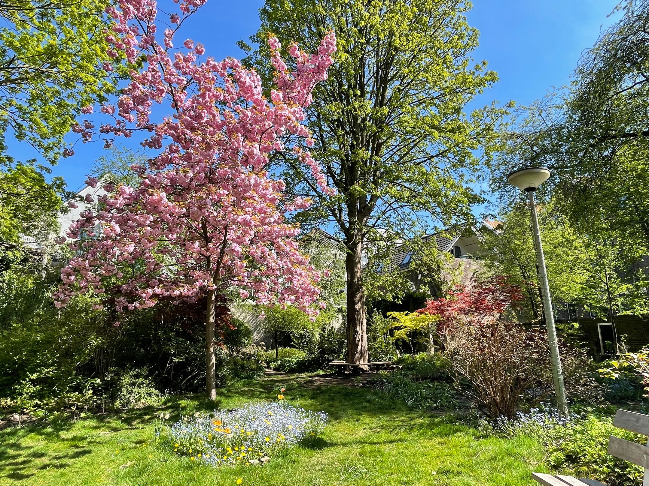 Foto 66 van Parkstraat 83