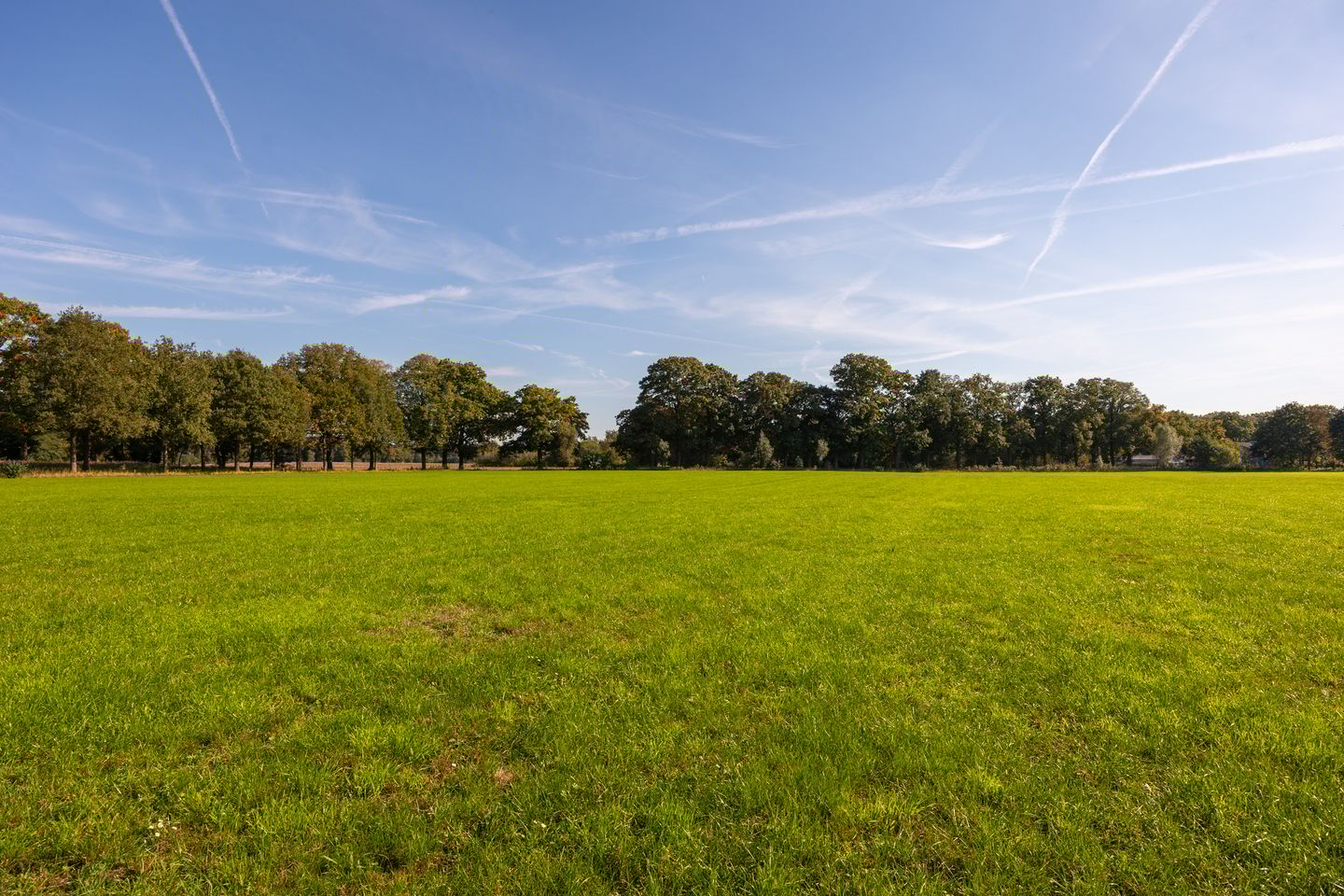 Bekijk foto 4 van Grond nabij Hengeloseweg 3