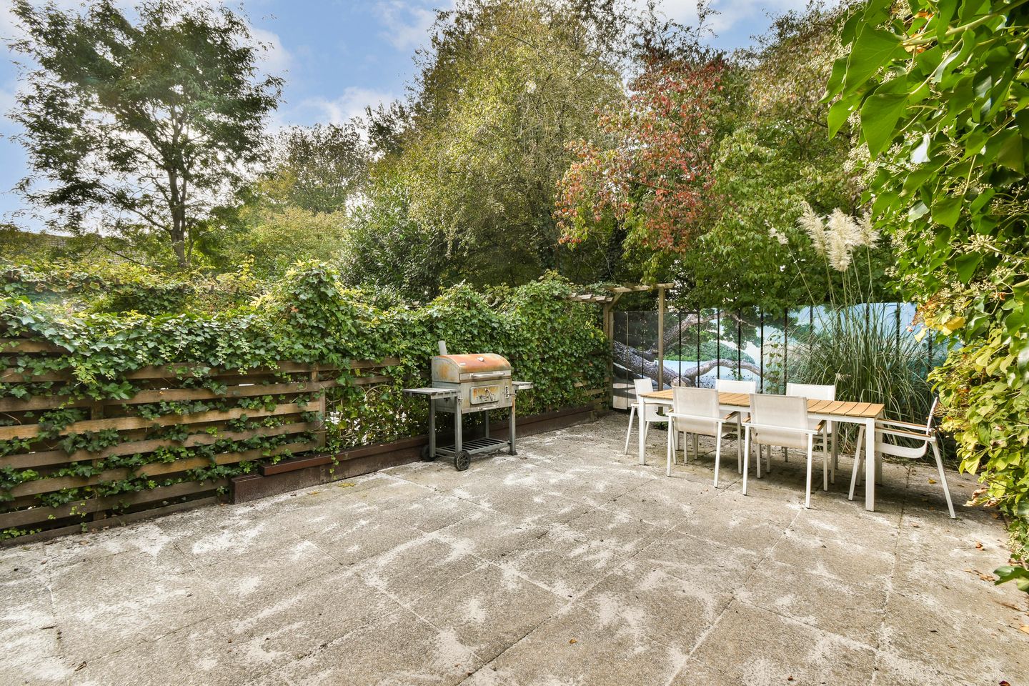 Foto 10 van Turfschip 98