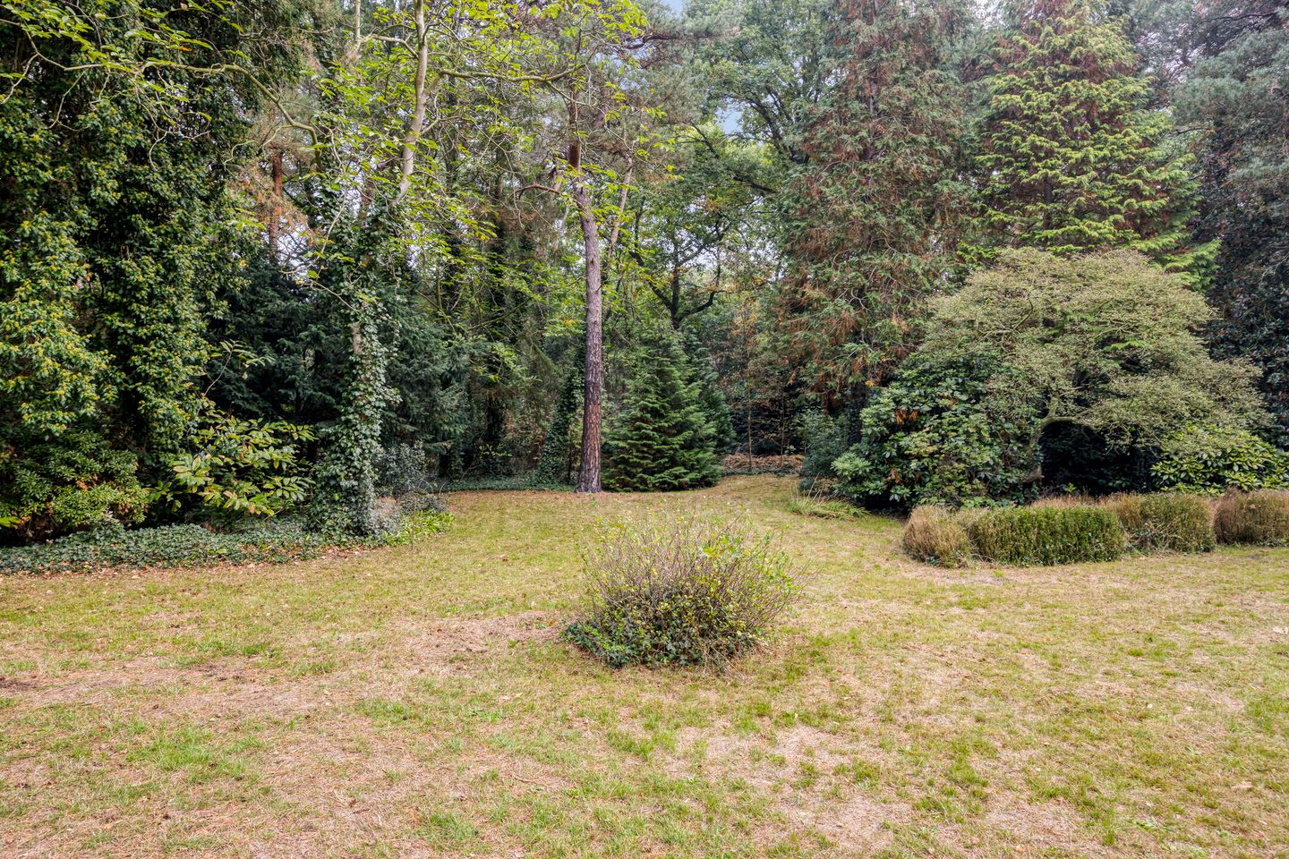 Photo 5 of Gemertseweg 43