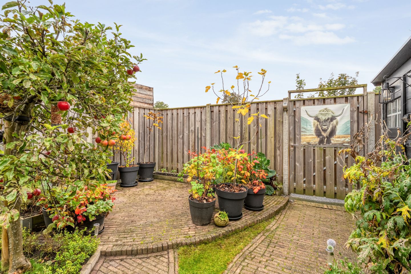 Foto 34 van Rozestraat 5