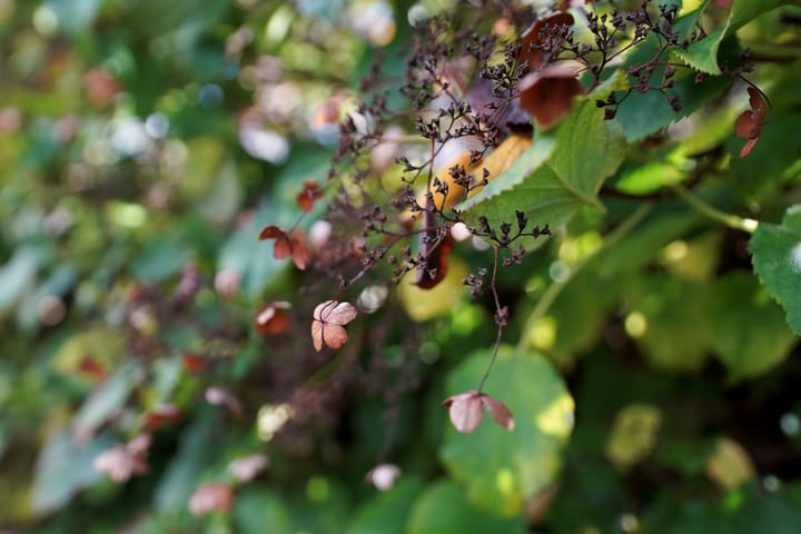 Photo 28 of Meidoornlaan 7