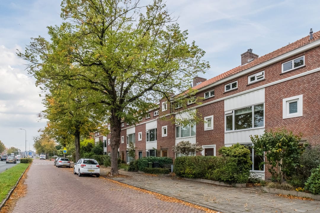 Foto 7 van Piuslaan 46