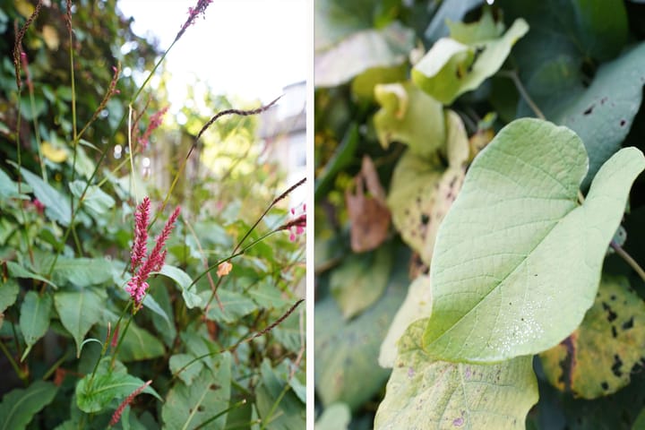 Photo 30 of Meidoornlaan 7