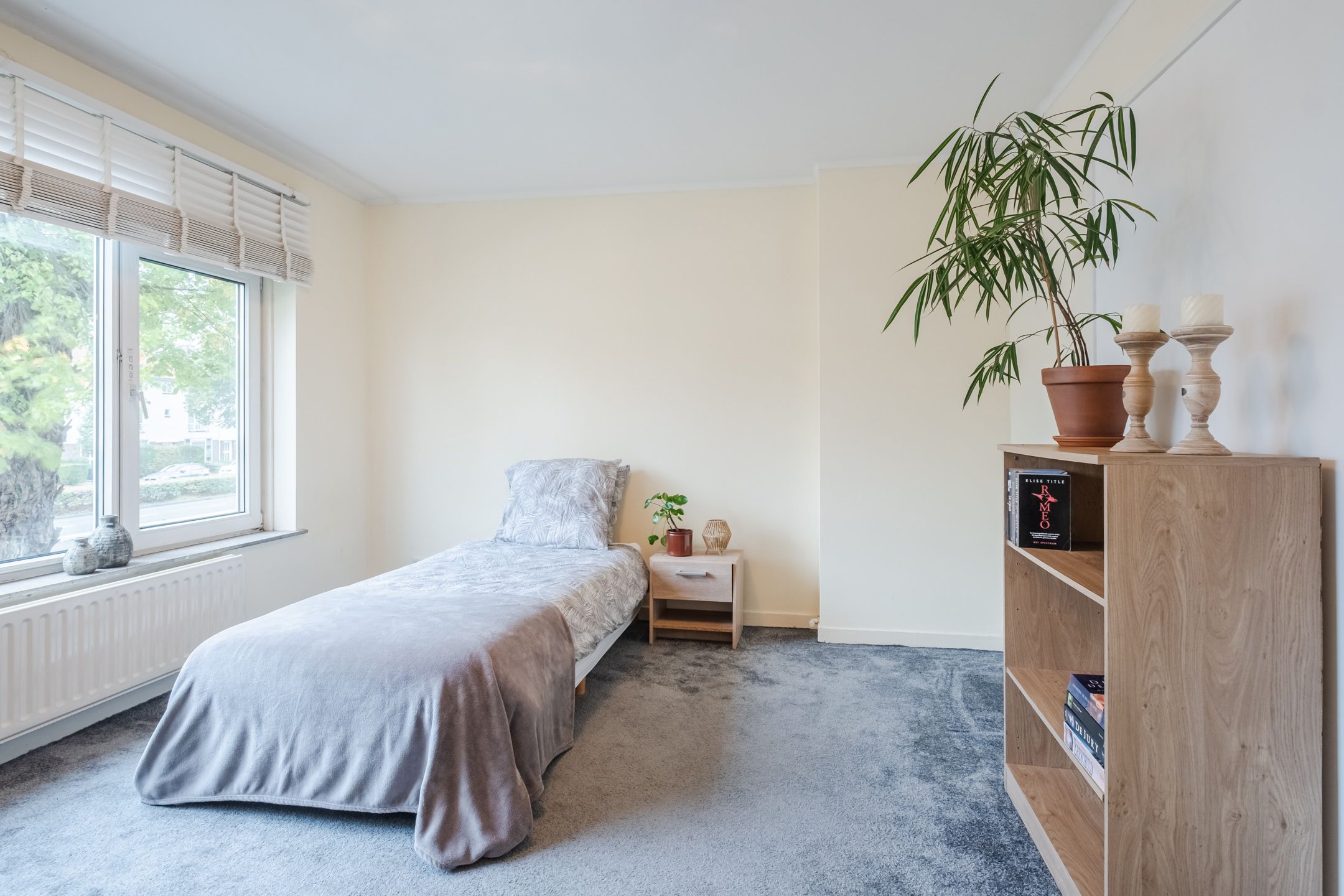 Foto 24 van Piuslaan 46