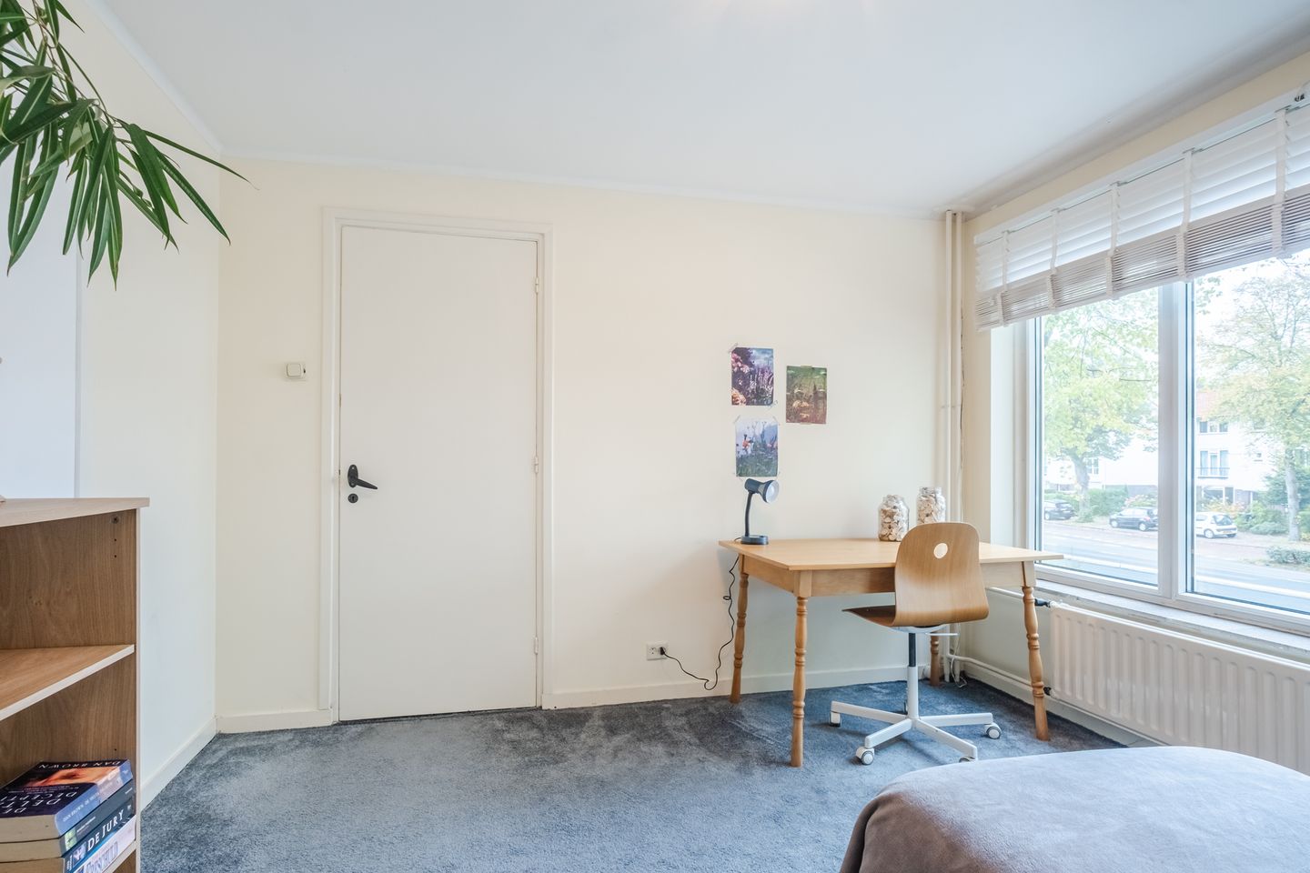 Foto 25 van Piuslaan 46