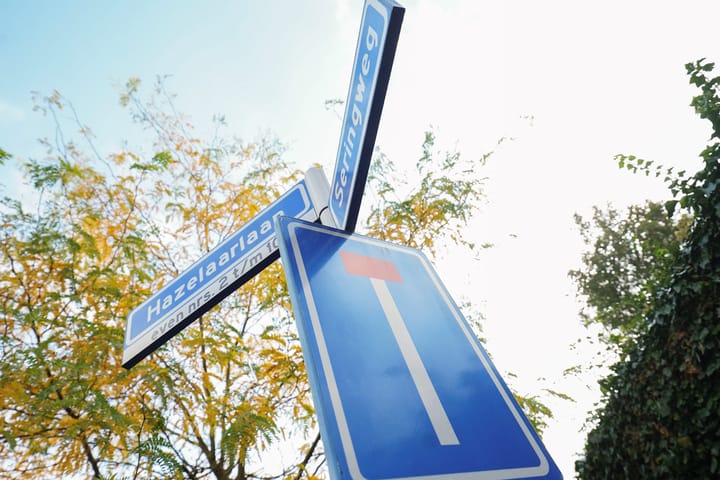 Photo 59 of Meidoornlaan 7