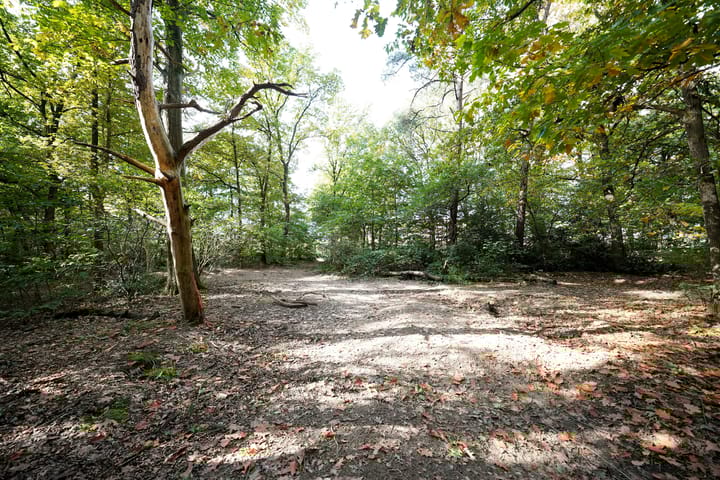 Photo 61 of Meidoornlaan 7