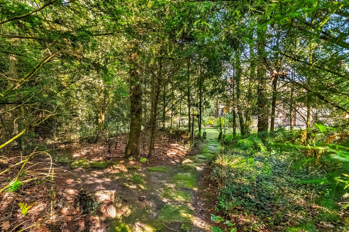 Photo 29 of Kerkplein 206