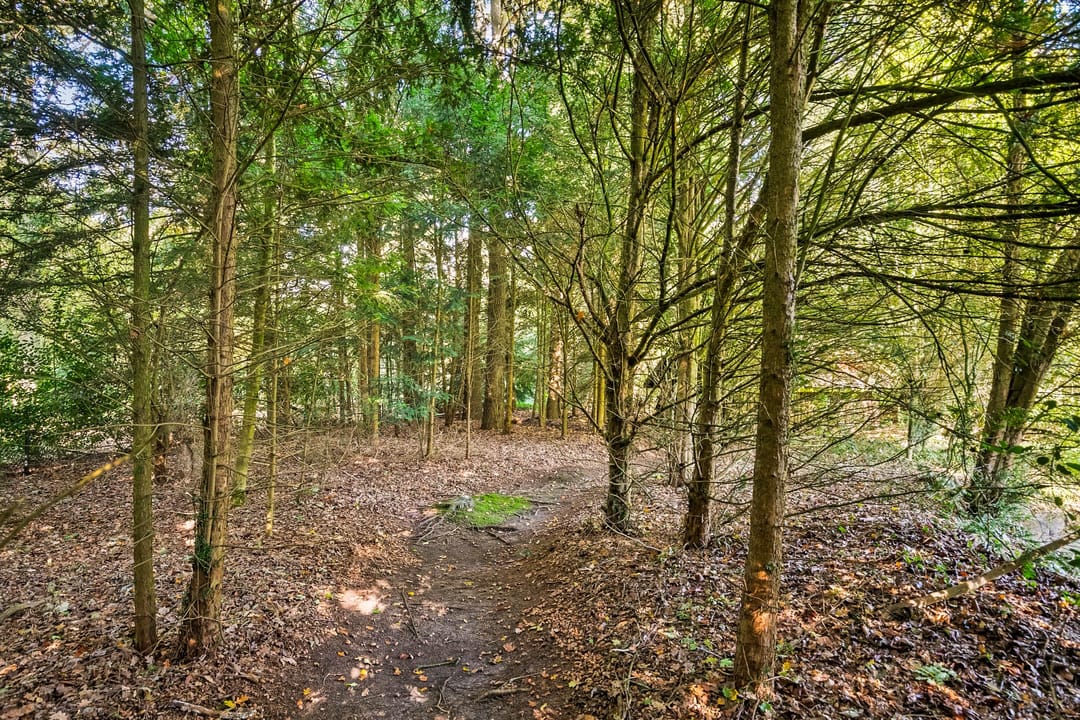 Photo 32 of Kerkplein 206