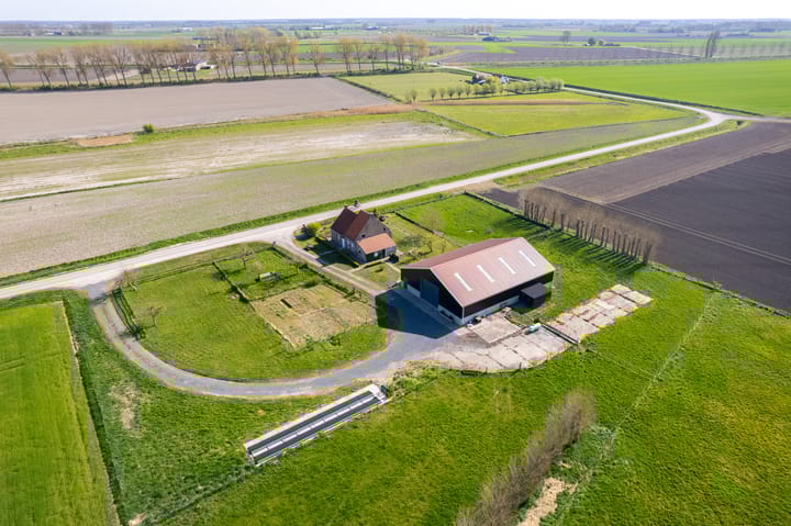 Foto 3 van Diomedeweg 2